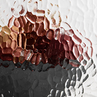 obscure door glass